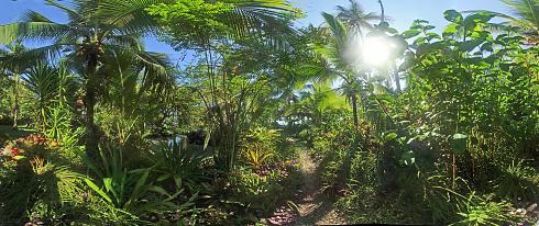 Palmengarten Panoramabild