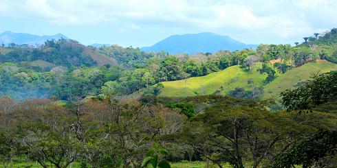 Huegel Costa Rica Panoramabild