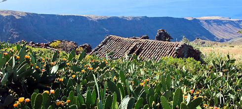 Kaktusgarten Panoramabild
