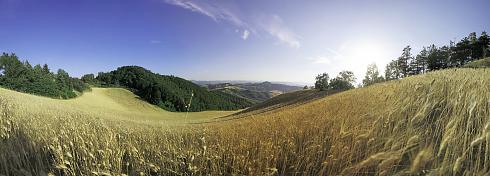 Landwirtschaft Panoramabild