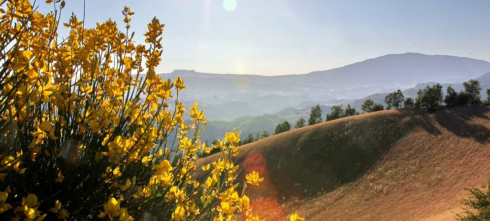 Natur Toscana Panorama