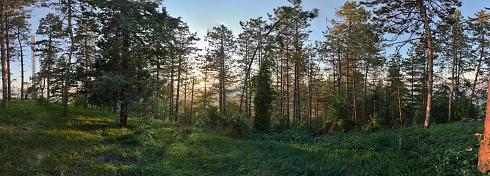 Natur Panoramabild