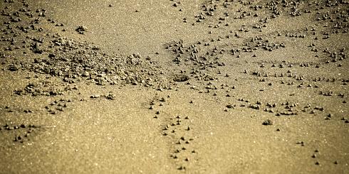 Sand Boden Panoramabild