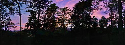 Wald Silhouetten Panoramabild